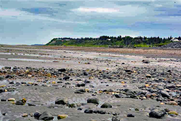 beach at low tide